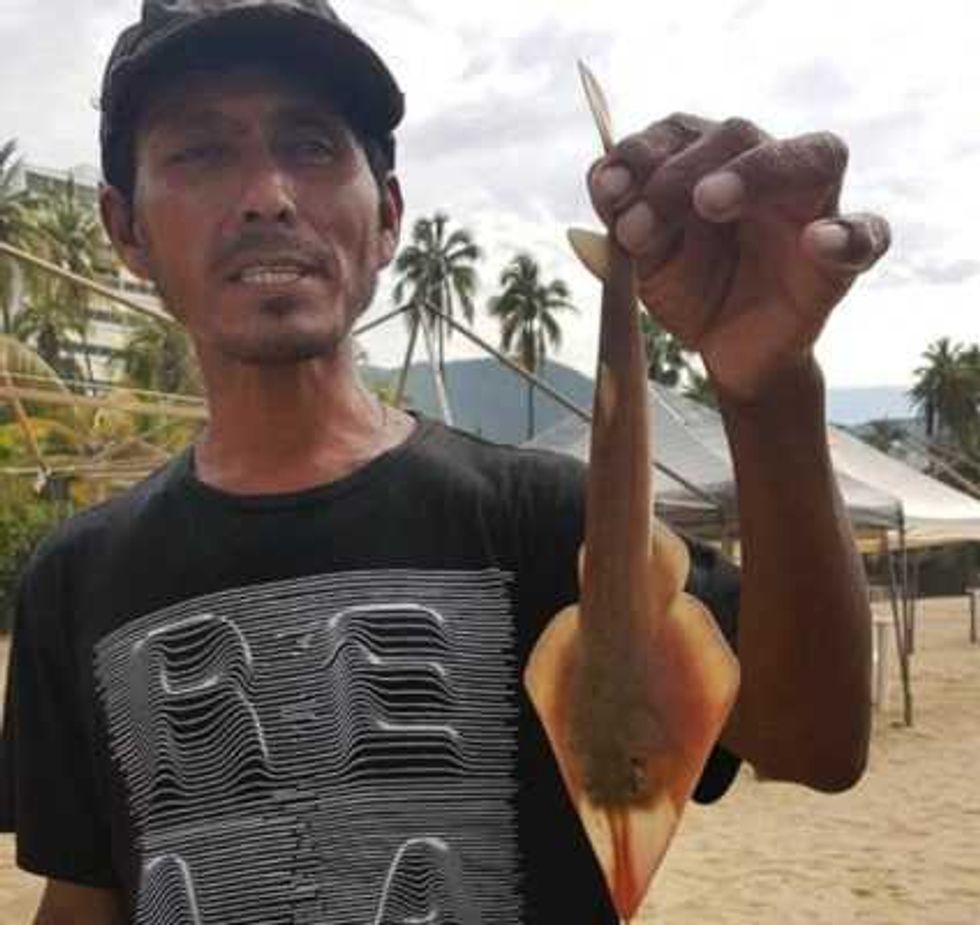 guerrero buscar convertir a pescadores en acuacultores 3