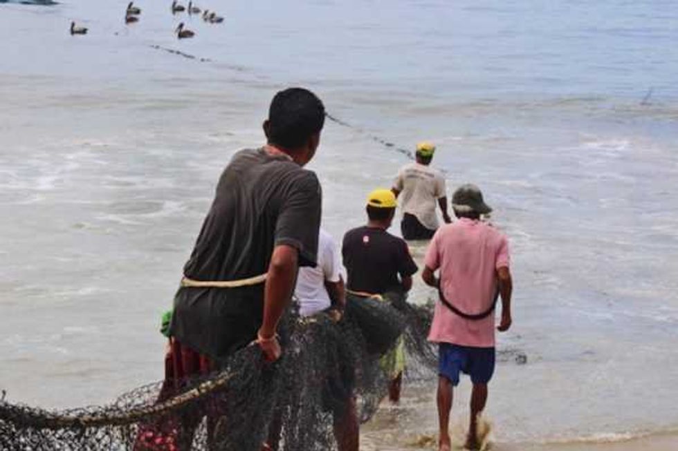 guerrero buscar convertir a pescadores en acuacultores 4