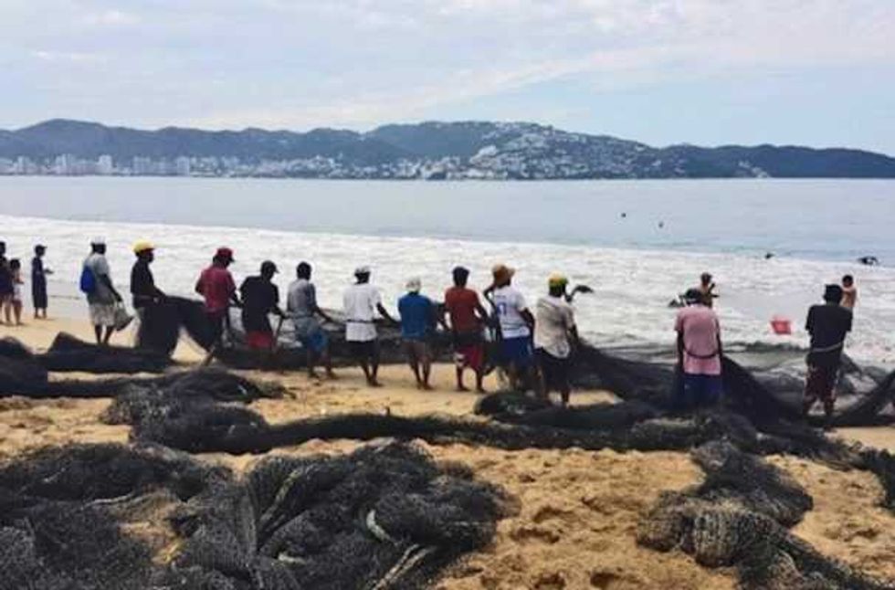 guerrero buscar convertir a pescadores en acuacultores 5