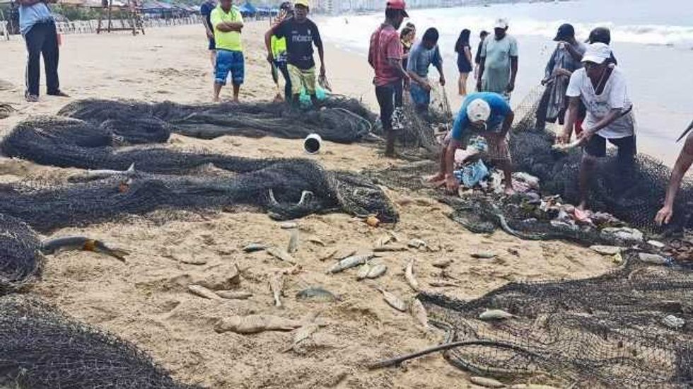 guerrero buscar convertir a pescadores en acuacultores 6