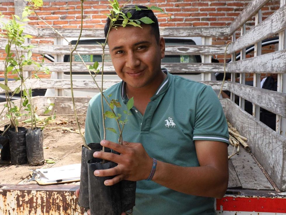 Habitante de Nuevo Esp\u00edritu Santo recibe un \u00e1rbol durante jornada comunitaria en San Juan del R\u00edo.