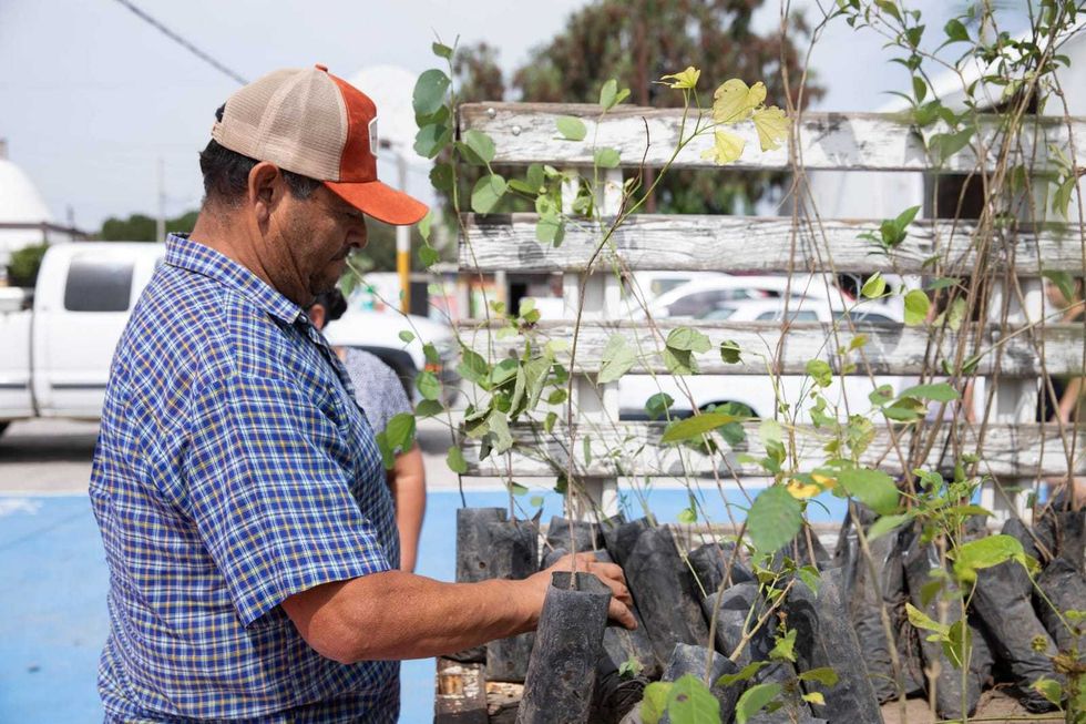 Habitante recibe y revisa \u00e1rboles entregados durante la jornada de atenci\u00f3n comunitaria en Cazadero, San Juan del R\u00edo.