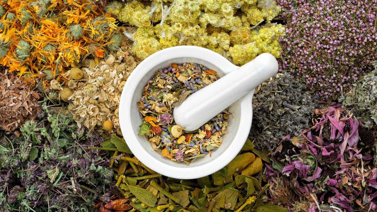Hierbas medicinales secas alrededor de un mortero blanco con su mano