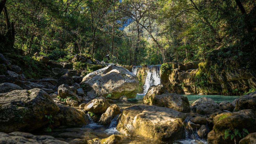 Higueras recibe reconocimiento mundial por turismo comunitario.