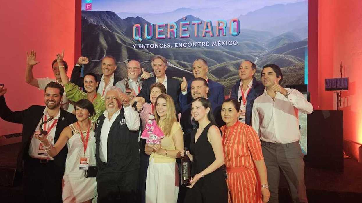 Hilera de viñedos al atardecer en la región vitivinícola de Querétaro, principal destino enoturístico de México.