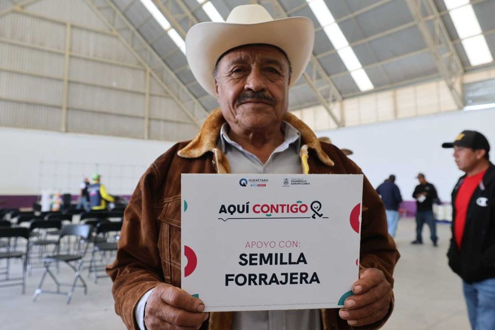 Entregan semilla forrajera a 303 productores de El Marqués