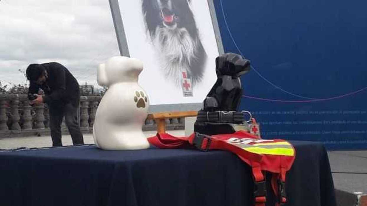 homenaje-athos-tango