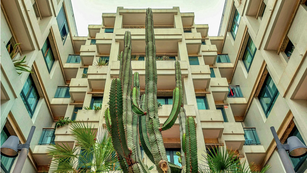 Hospédate en un hotel temático en México y transforma tu viaje en una experiencia inolvidable. Fuente: Unsplash.