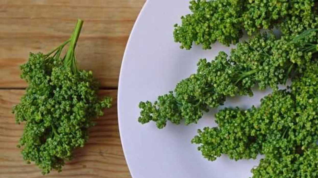 huauzontle-planta-mexicana-nutritiva-y-curativa