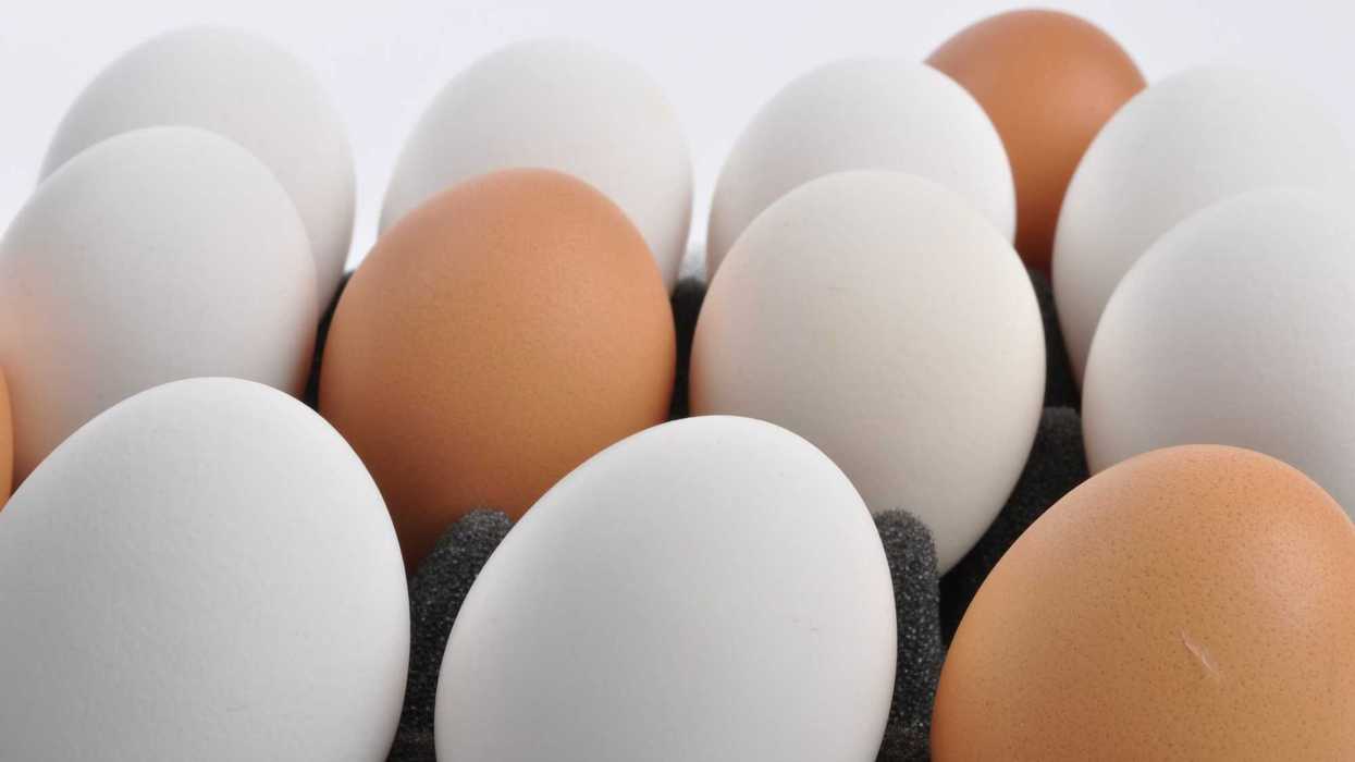 Huevos blancos acomodados sobre espuma negra en primer plano