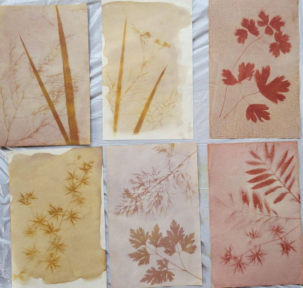 Imagen creada con antotipia que muestra una flor y hojas impresas sobre papel con pigmentos naturales