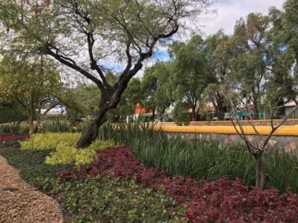 imagen-urbana-la-colonia-calesa-1