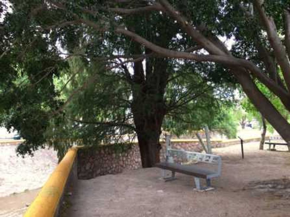 imagen-urbana-la-colonia-calesa-2