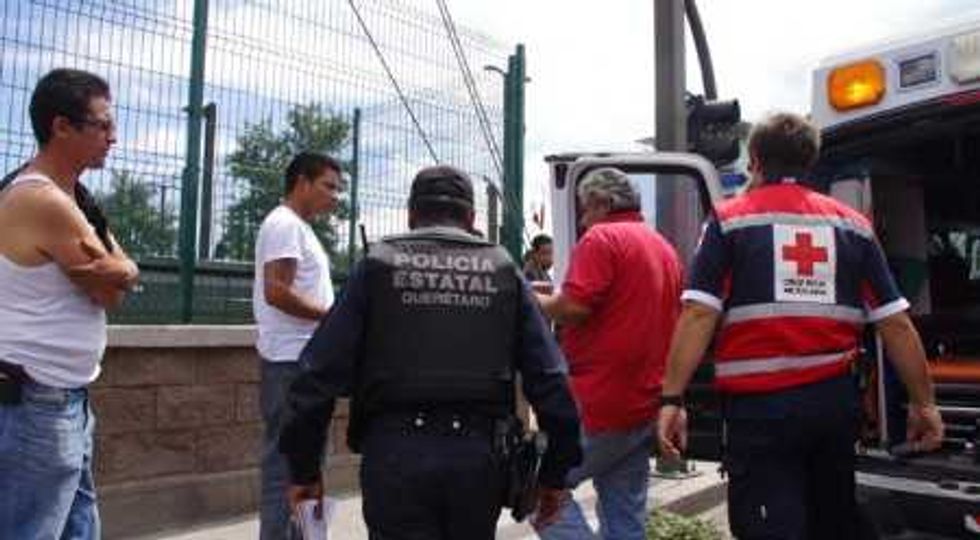 IMGP6029