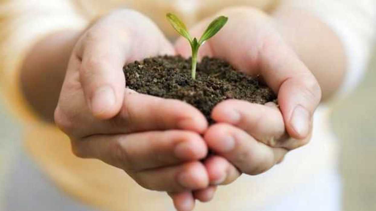 impulsar-la-innovacion-clave-para-favorecer-el-crecimiento-verde