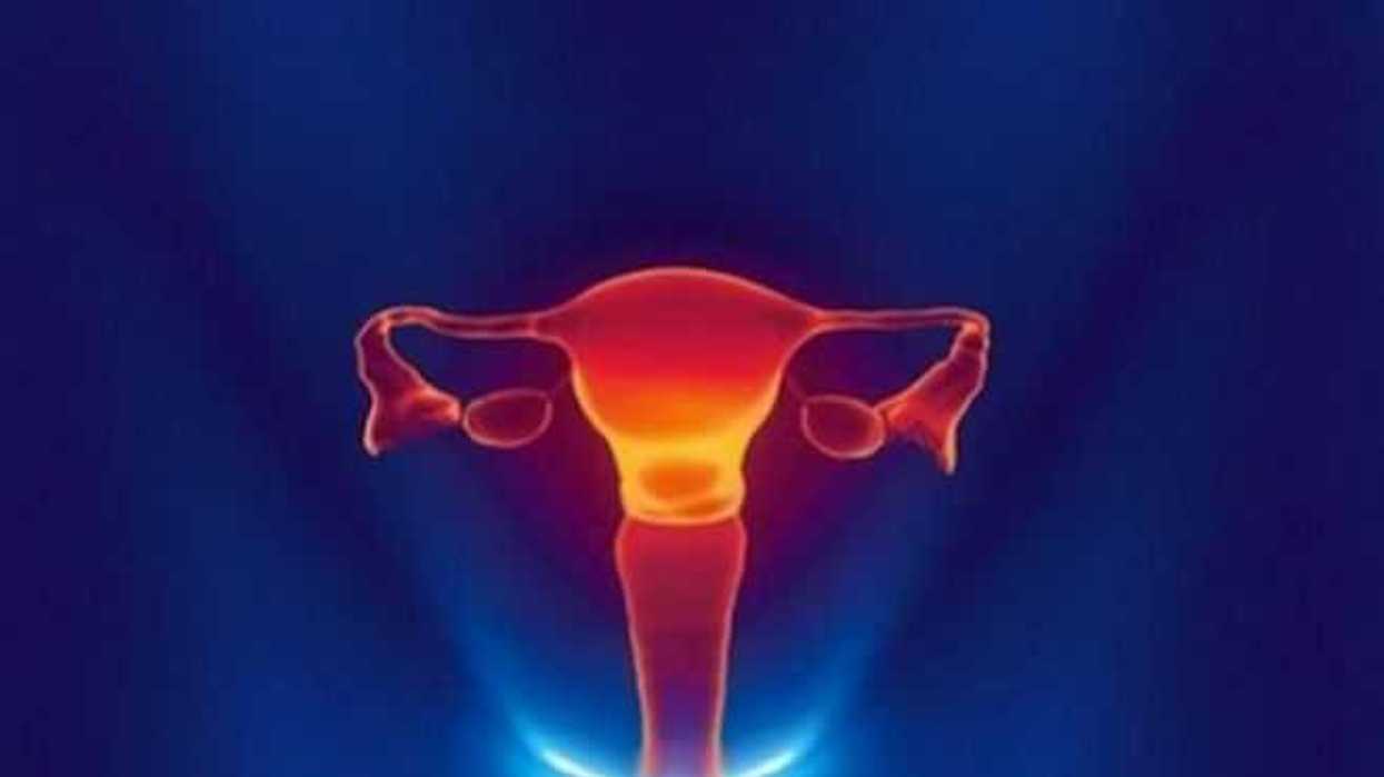 imss-recibe-cinco-mil-pruebas-deteccion-cancer-cervicouterino