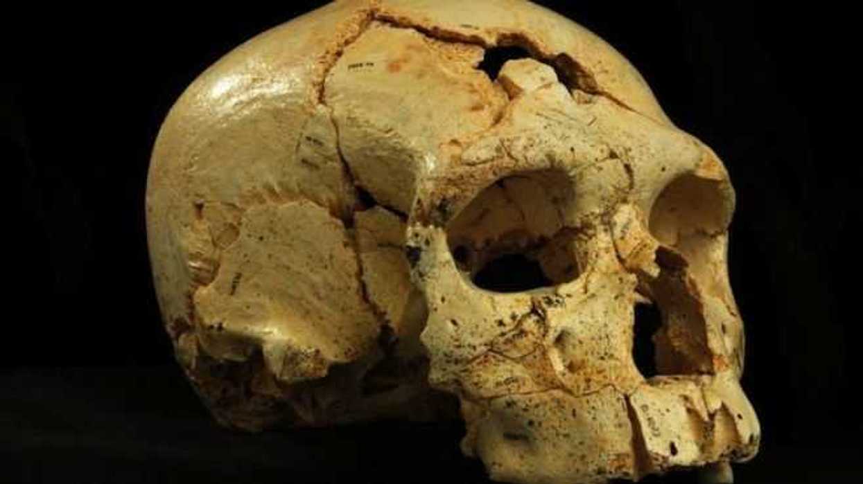 inah-exhibe-reproduccion-del-craneo-fosil-del-hombre-de-chimalhuacan