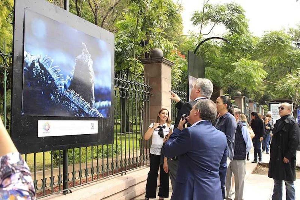 inauguran exposicion fotografica de ecuador 55