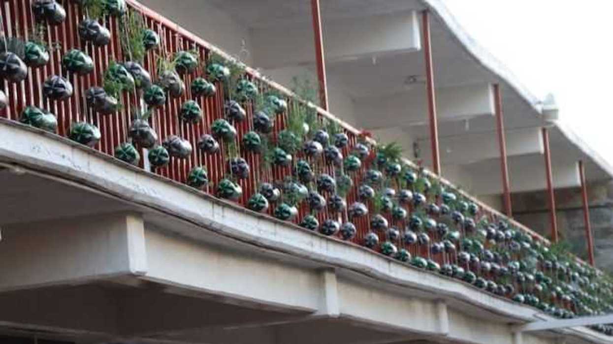 inauguran-pasillo-ecologico-en-instituto-plancarte-de-san-juan-del-rio-3