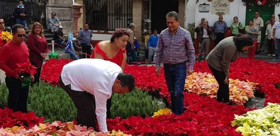 inauguran tapete monumental de flor de nochebuena en taxco guerrero 4