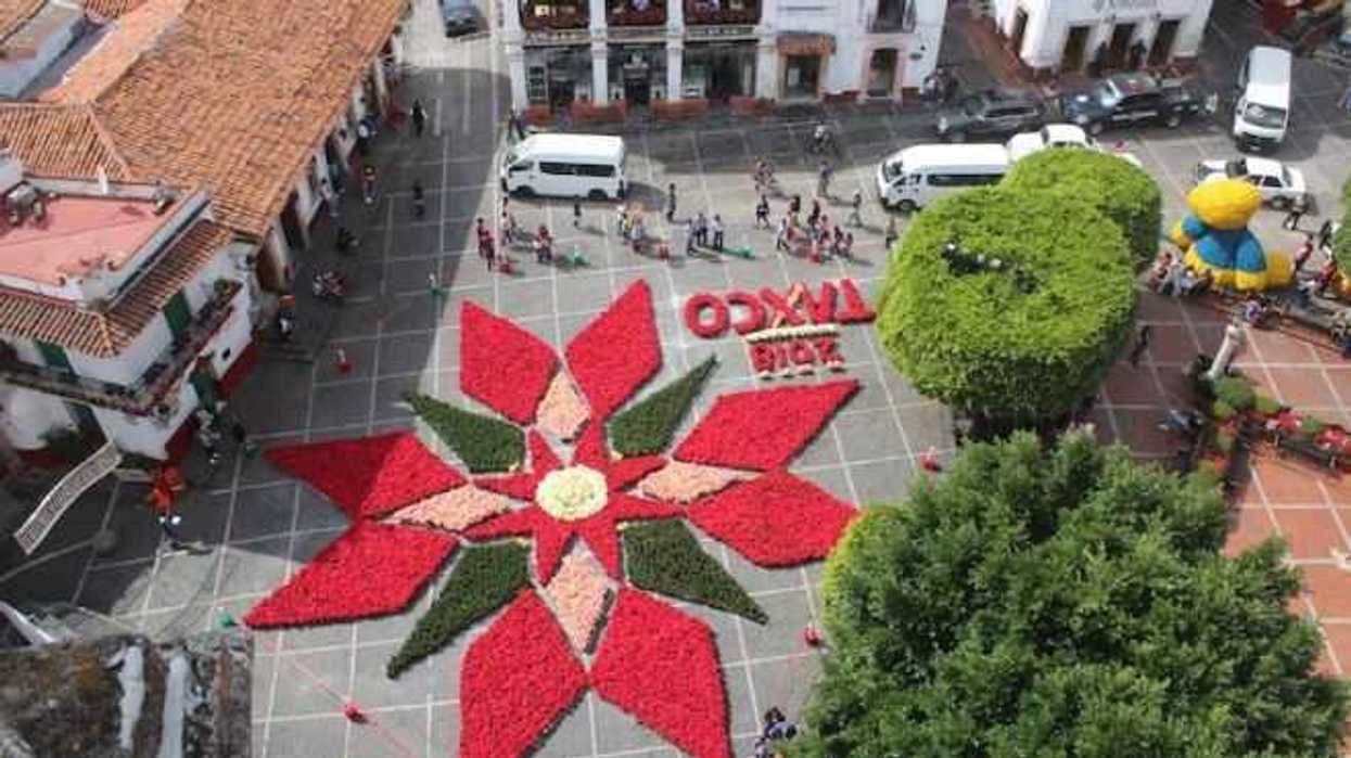 inauguran-tapete-monumental-de-flor-de-nochebuena-en-taxco-guerrero-6.jpg
