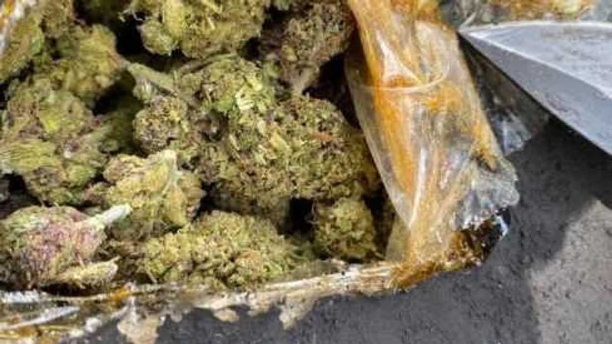 Incautan en Sinaloa marihuana oculta en bolsas de carbón.