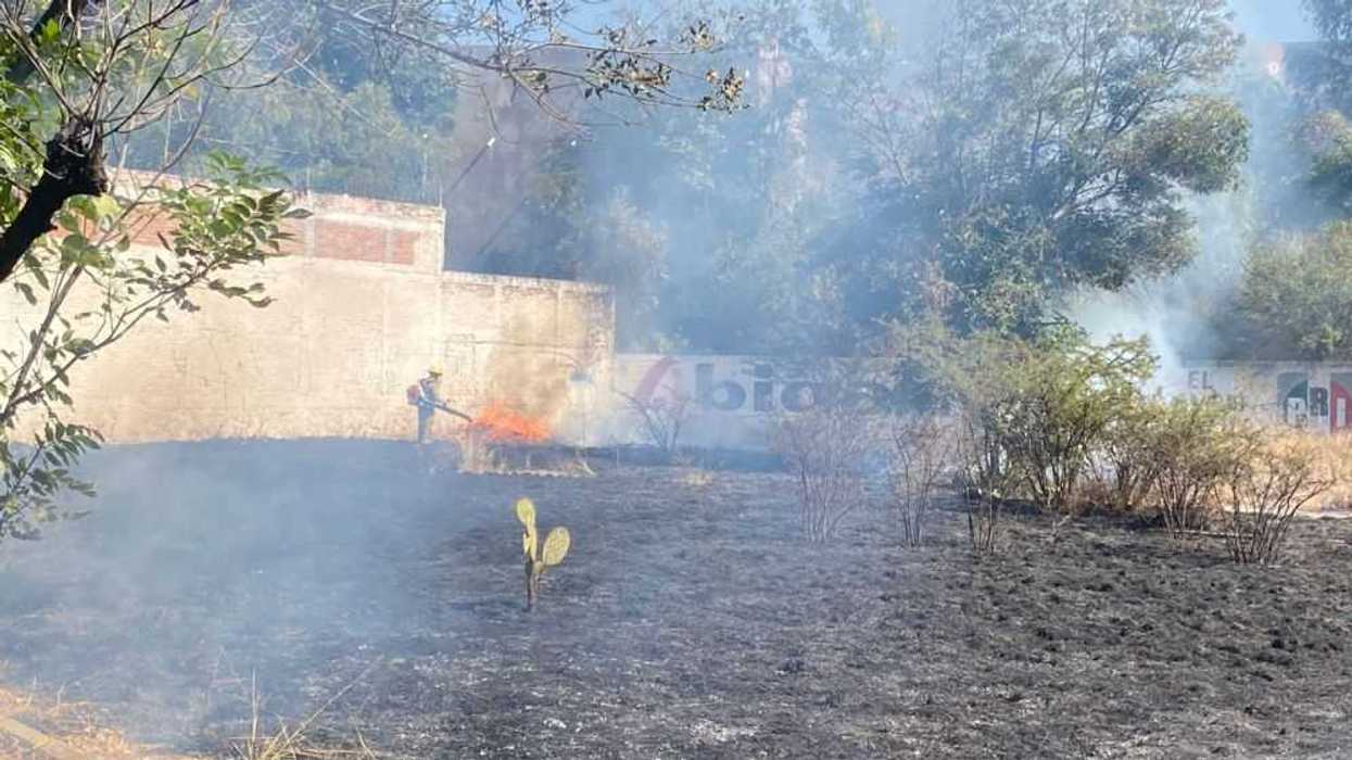 Incendian predio para evitar gastos por limpieza de maleza en San Juan del Río.