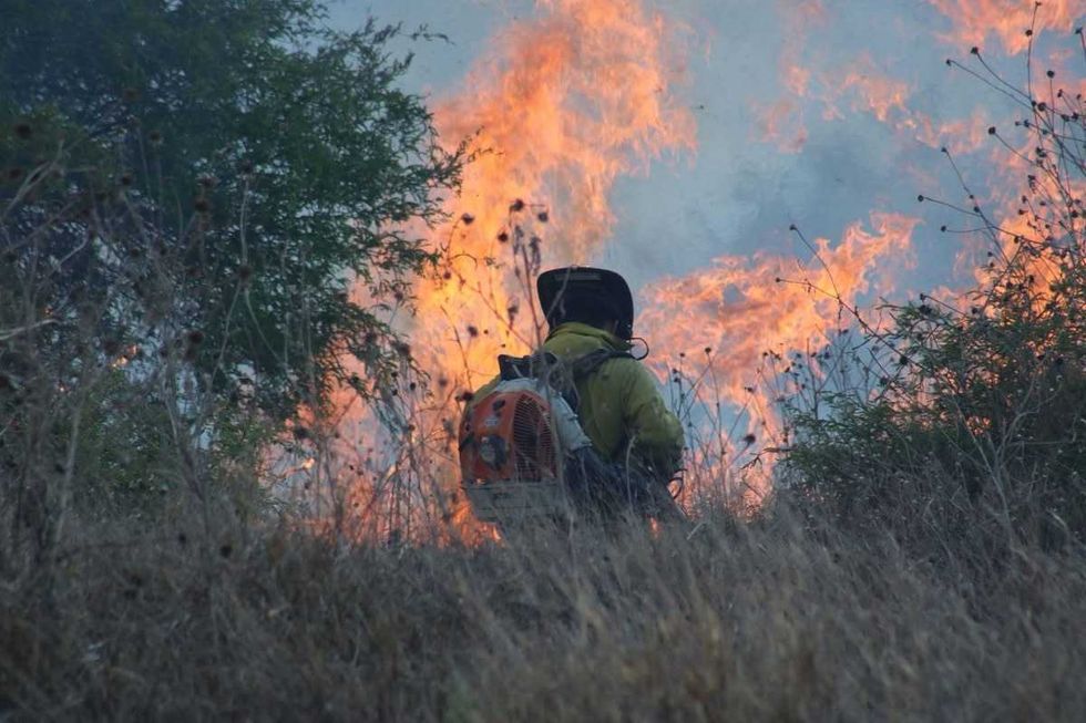 Incendio consume granja av\u00edcola con miles de pollos en zona cerril de Santa Rosa Xajay, San Juan del R\u00edo