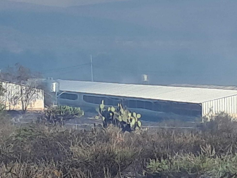 Incendio consume granja av\u00edcola con miles de pollos en zona cerril de Santa Rosa Xajay, San Juan del R\u00edo