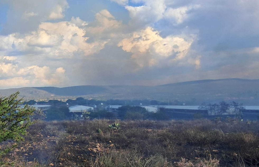 Incendio consume granja av\u00edcola con miles de pollos en zona cerril de Santa Rosa Xajay, San Juan del R\u00edo
