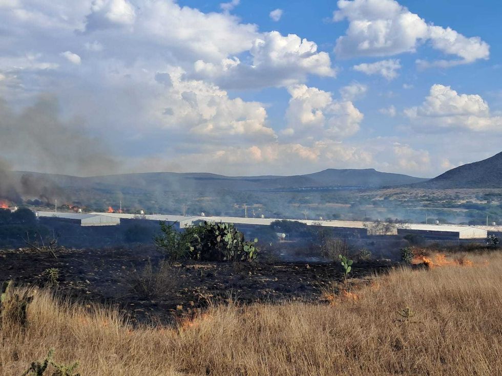 Incendio consume granja av\u00edcola con miles de pollos en zona cerril de Santa Rosa Xajay, San Juan del R\u00edo