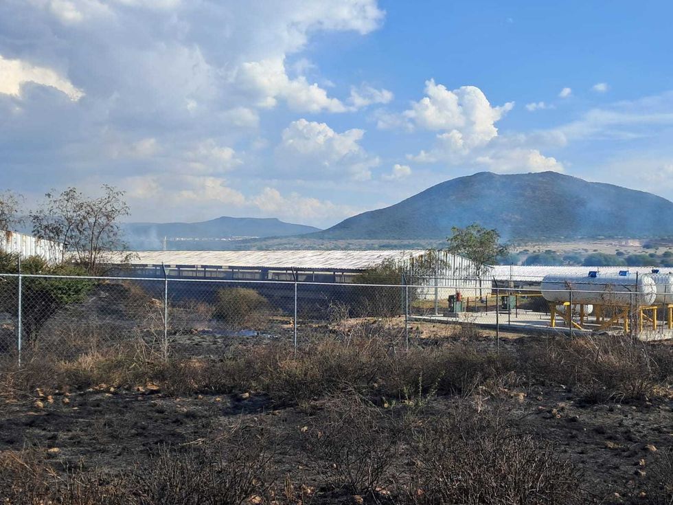 Incendio consume granja av\u00edcola con miles de pollos en zona cerril de Santa Rosa Xajay, San Juan del R\u00edo