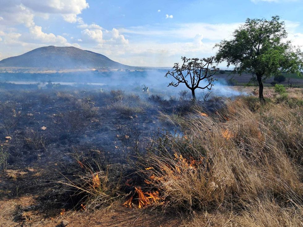 Incendio consume granja av\u00edcola con miles de pollos en zona cerril de Santa Rosa Xajay, San Juan del R\u00edo