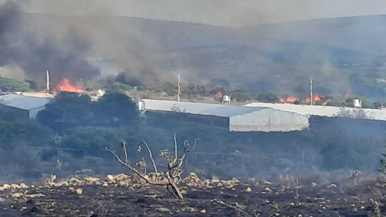 Incendio consume granja avícola con miles de pollos en zona cerril de Santa Rosa Xajay, San Juan del Río
