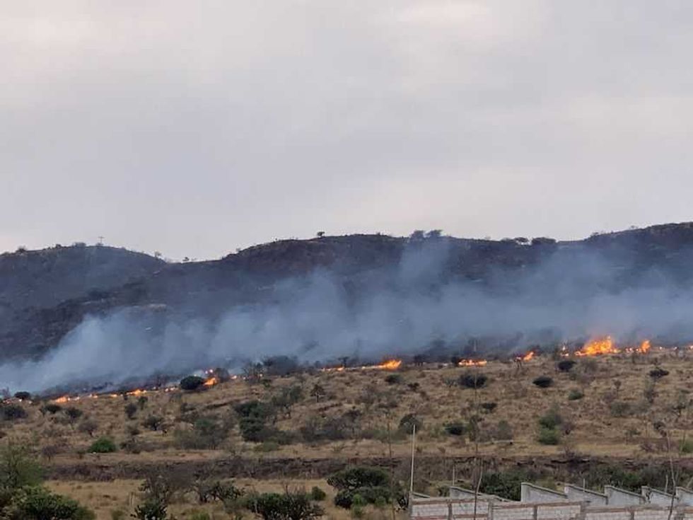 incendio devasto 60 hectareas en cerro de la venta en san juan del rio 2
