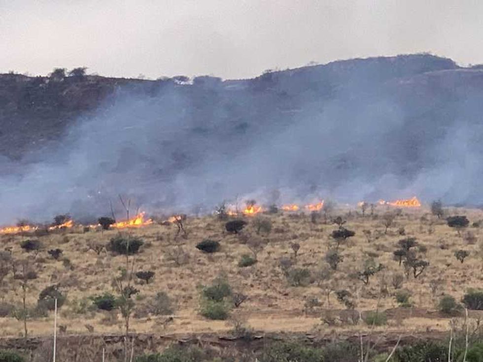 incendio devasto 60 hectareas en cerro de la venta en san juan del rio 4