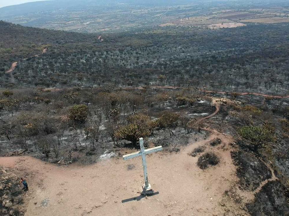 incendio devasto 60 hectareas en cerro de la venta en san juan del rio 789