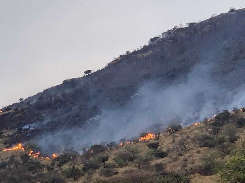 incendio devasto 60 hectareas en cerro de la venta en san juan del rio6