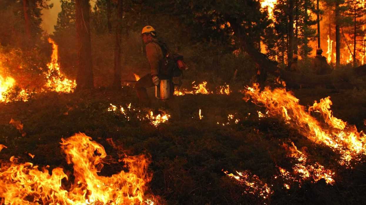 Incendio forestal. NOTIMEX