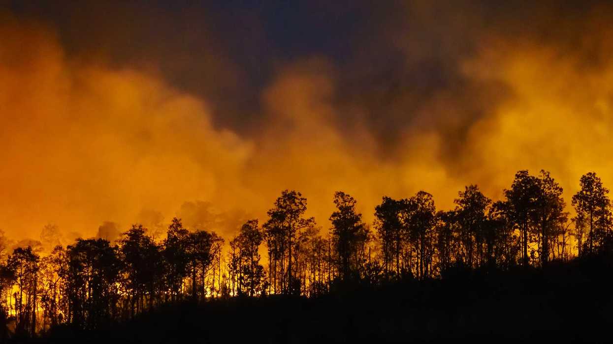 Incendios forestales en regiones de Ñuble y Biobío en el sur de Chile durante emergencia de enero 2026.