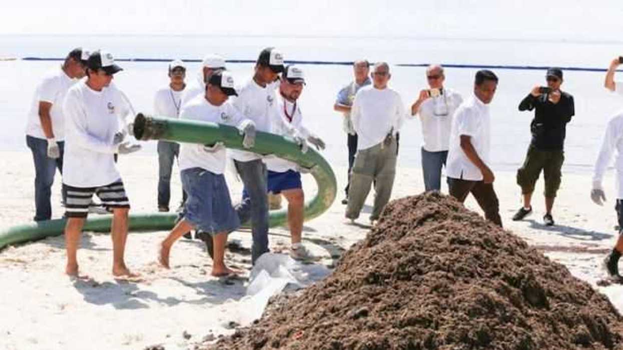 incorporan-a-190-personas-para-retirar-sargazo-de-playas-de-isla-mujeres