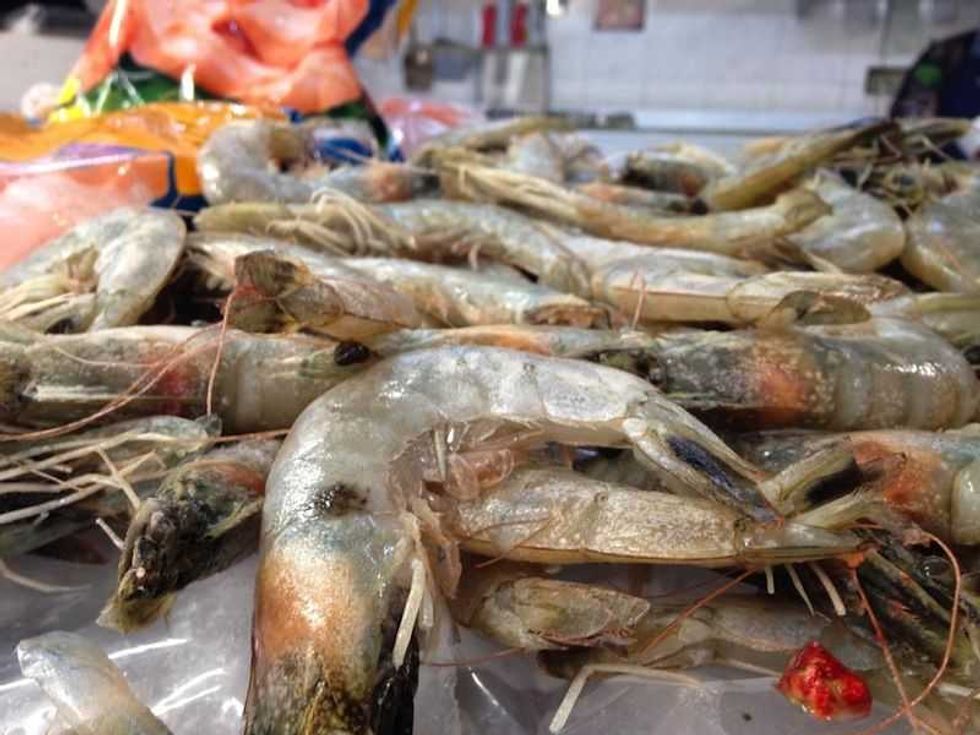 incrementan 30 ventas de mariscos por cuaresma en san juan de rio