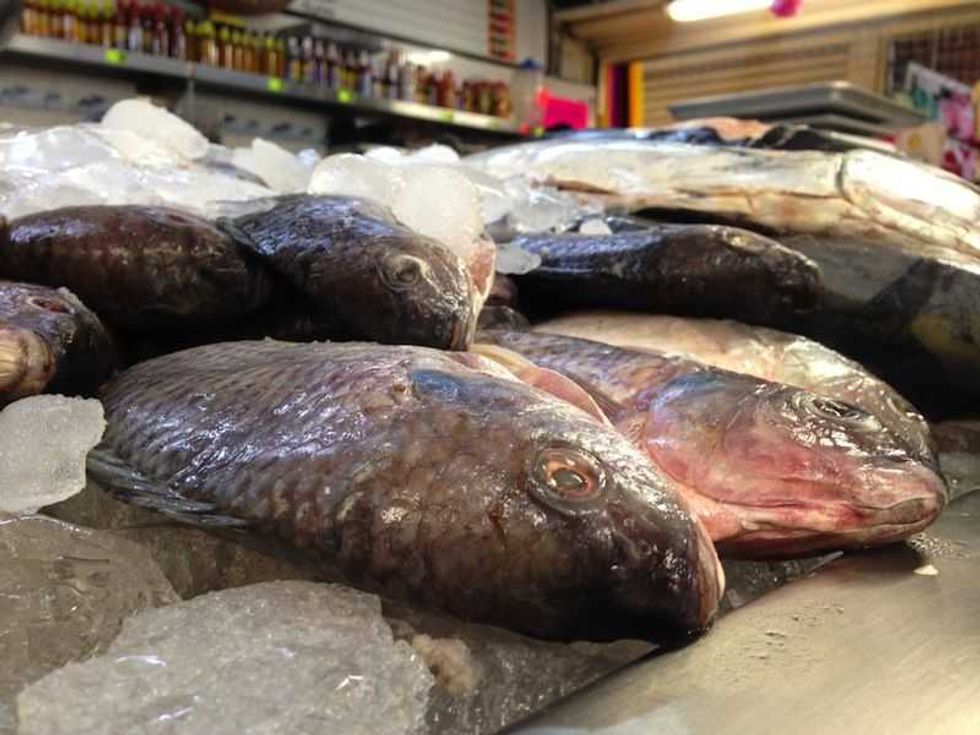 incrementan ventas de mariscos por cuaresma en san juan del rio 2