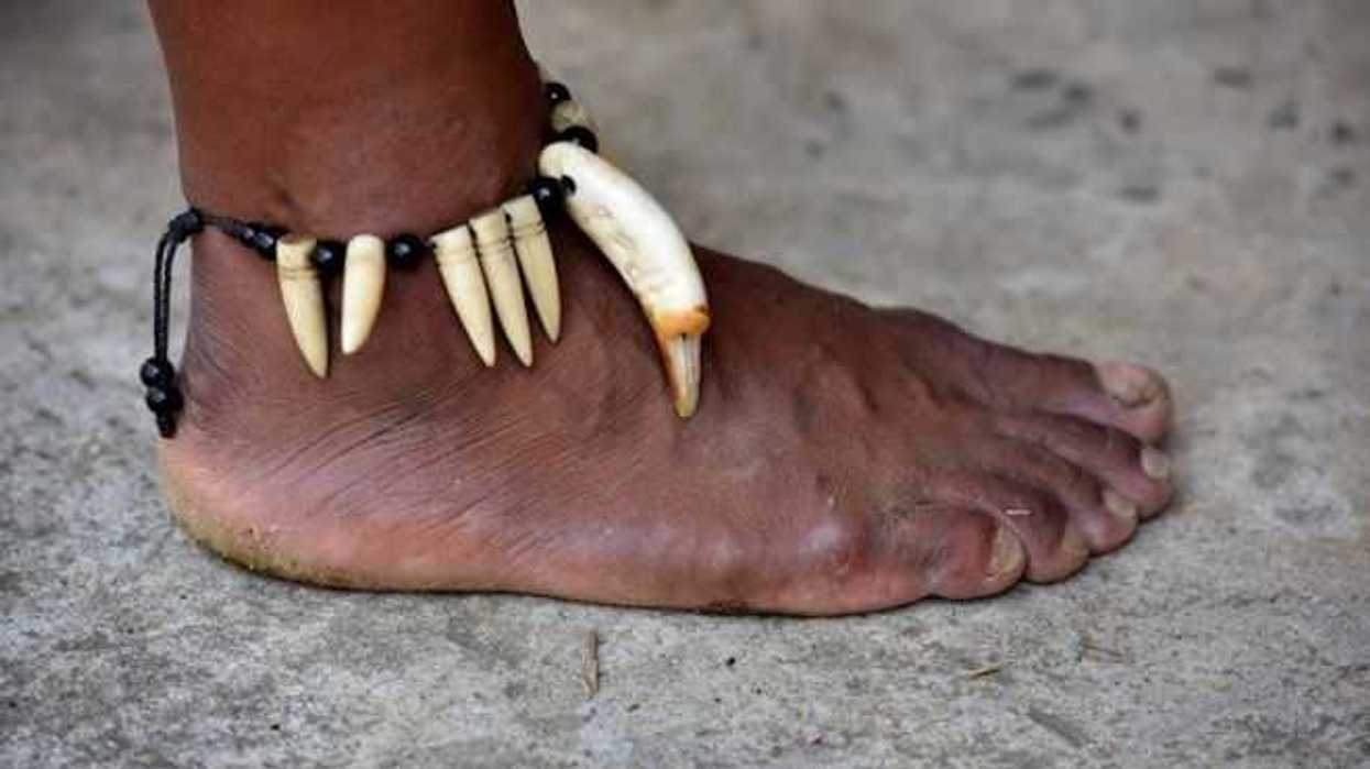 indigenas-amazonia-efe