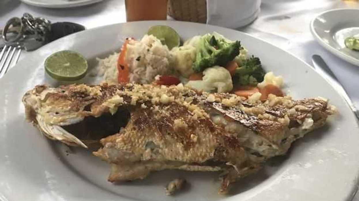 infecciones-alimentos-temporada-calor