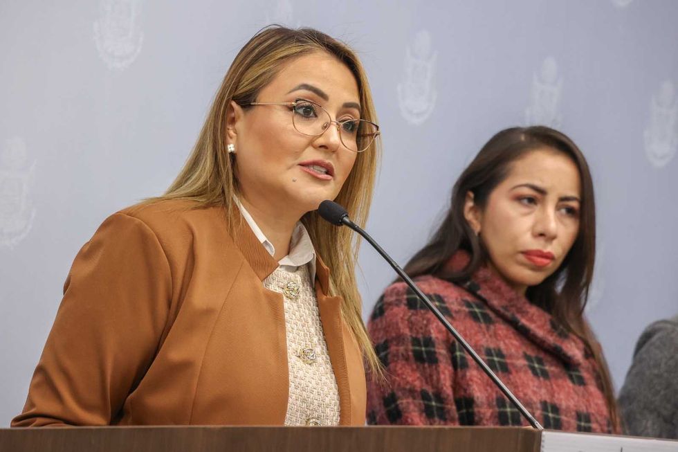 Iniciativa de prohibici\u00f3n de pirotecnia en eventos oficiales de Quer\u00e9taro para proteger medio ambiente y bienestar animal