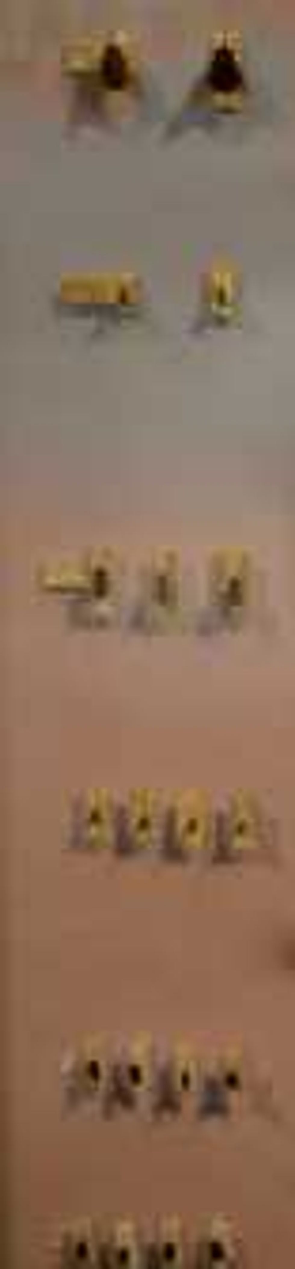 insectos transmisores enfermedades 2