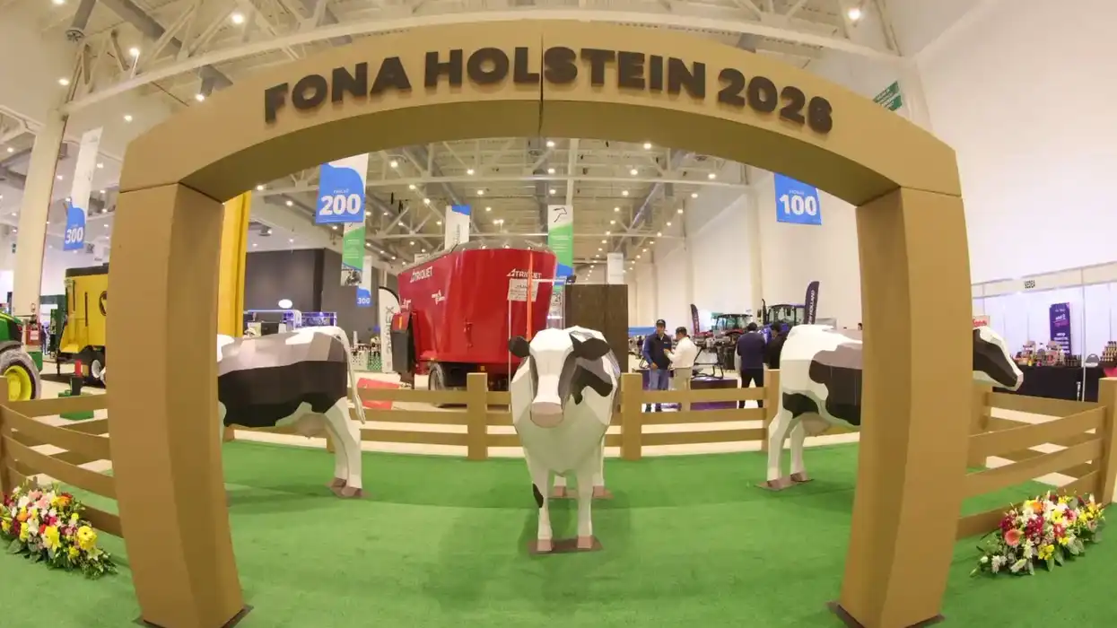 Instalación temática con figuras de ganado en la exposición del Foro Nacional Holstein 2026.