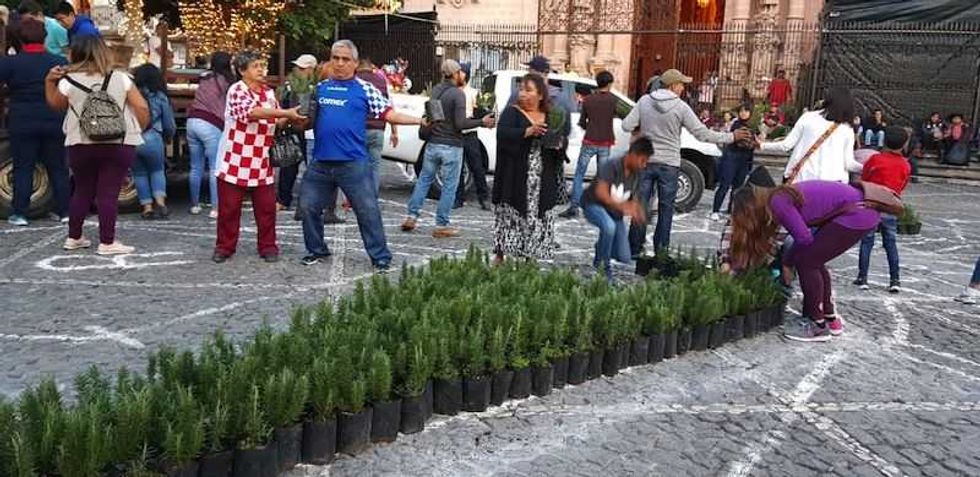instalan la mega flor de noche buena mas grande del mundo en taxco 3