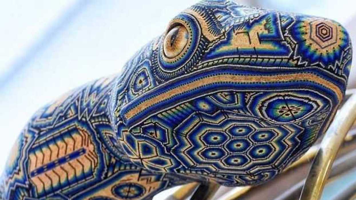 instrumentos-intervenidos-con-arte-huichol-a-la-vista-en-catalogo